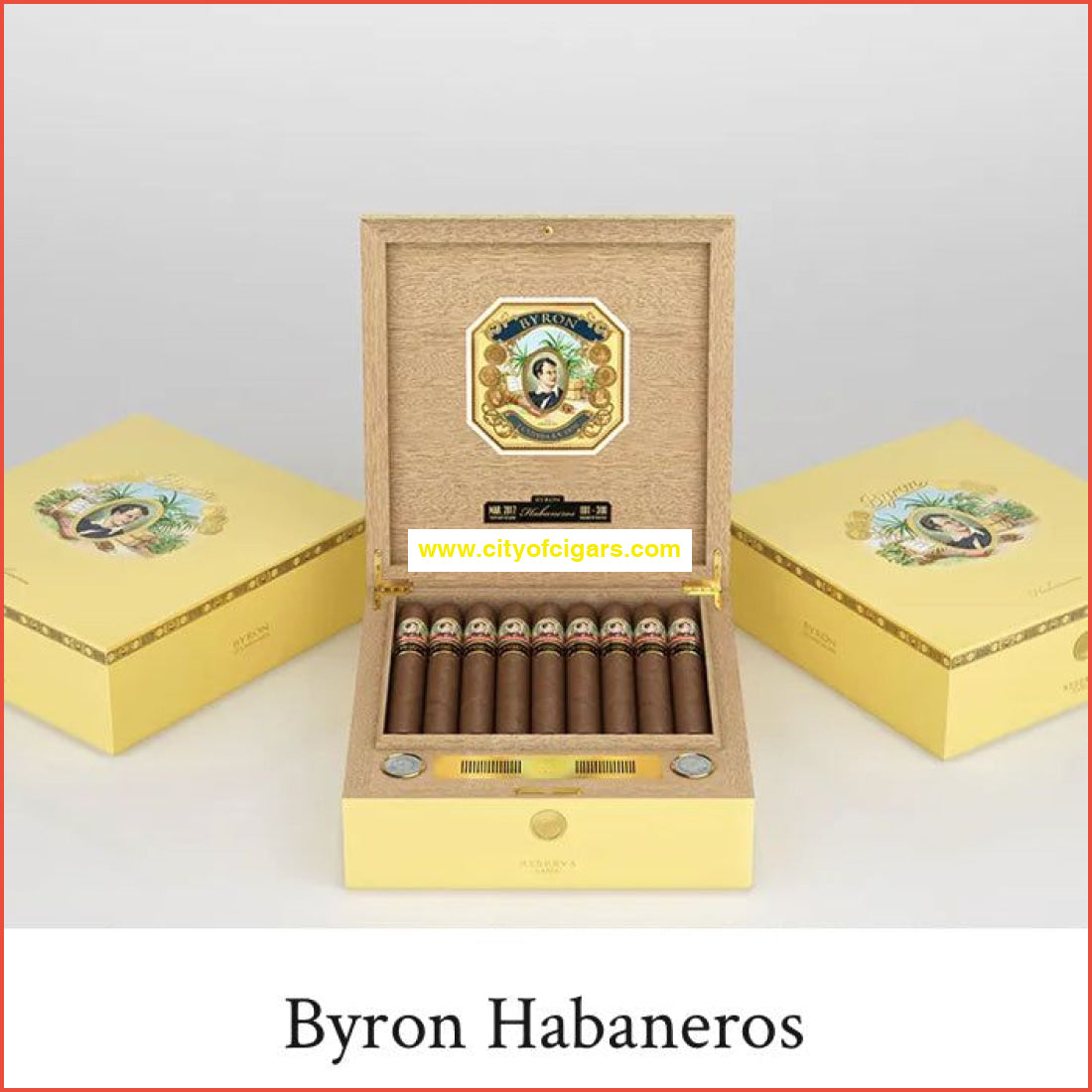 Byron Limited Edition Humidor Set