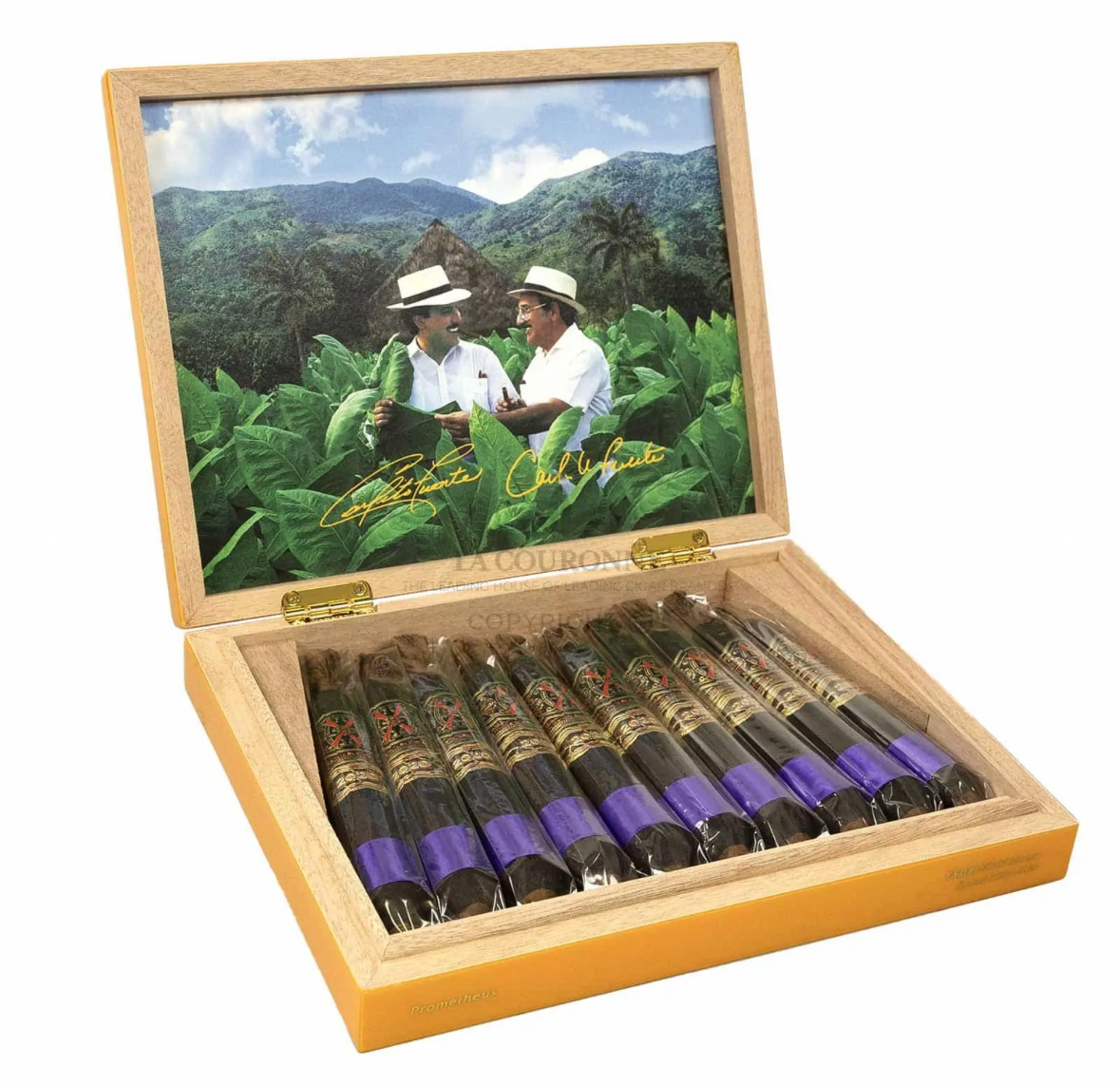 Arturo Fuente OpusX BBMF Maduro (Box of 10 Cigars) | City of Cigars