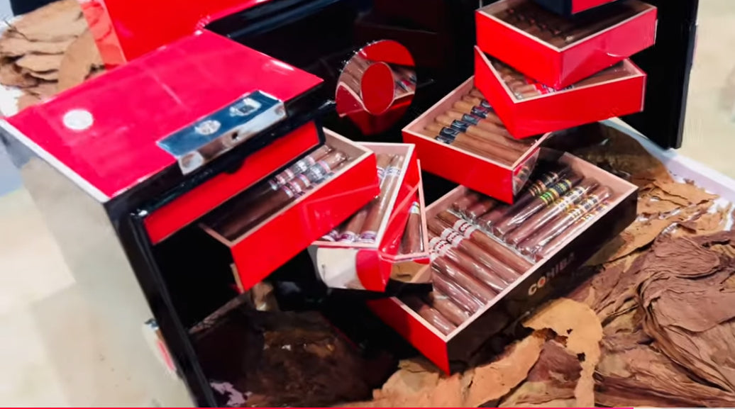 Cohiba Biometric Humidor + 106 Cigars