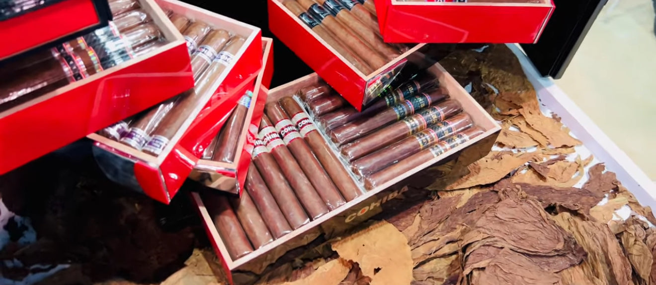 Cohiba Biometric Humidor + 106 Cigars