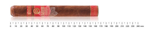 Plasencia Year Of The Rabbit Single Cigars