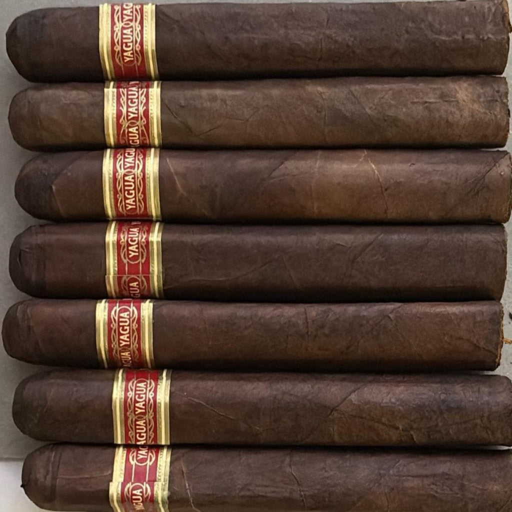 Yagua Cigars, By J.C Newman 7 Pack Cigars - cityofcigars.com